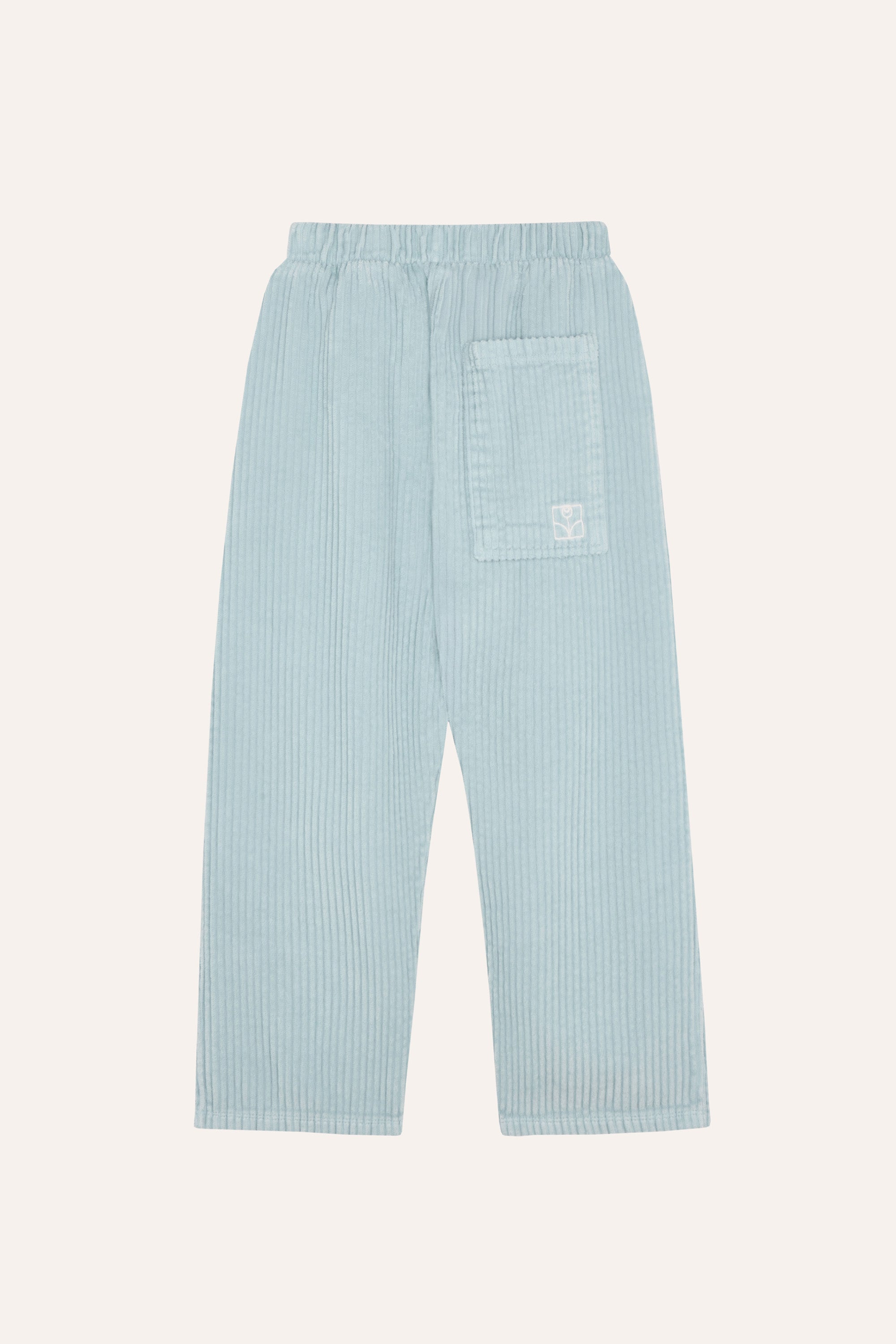 Light Blue Corduroy Trousers LIGHT BLUE