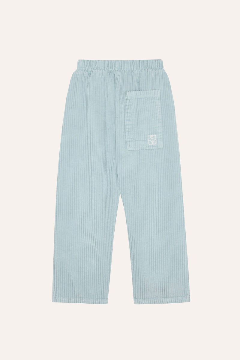 Light Blue Corduroy Trousers