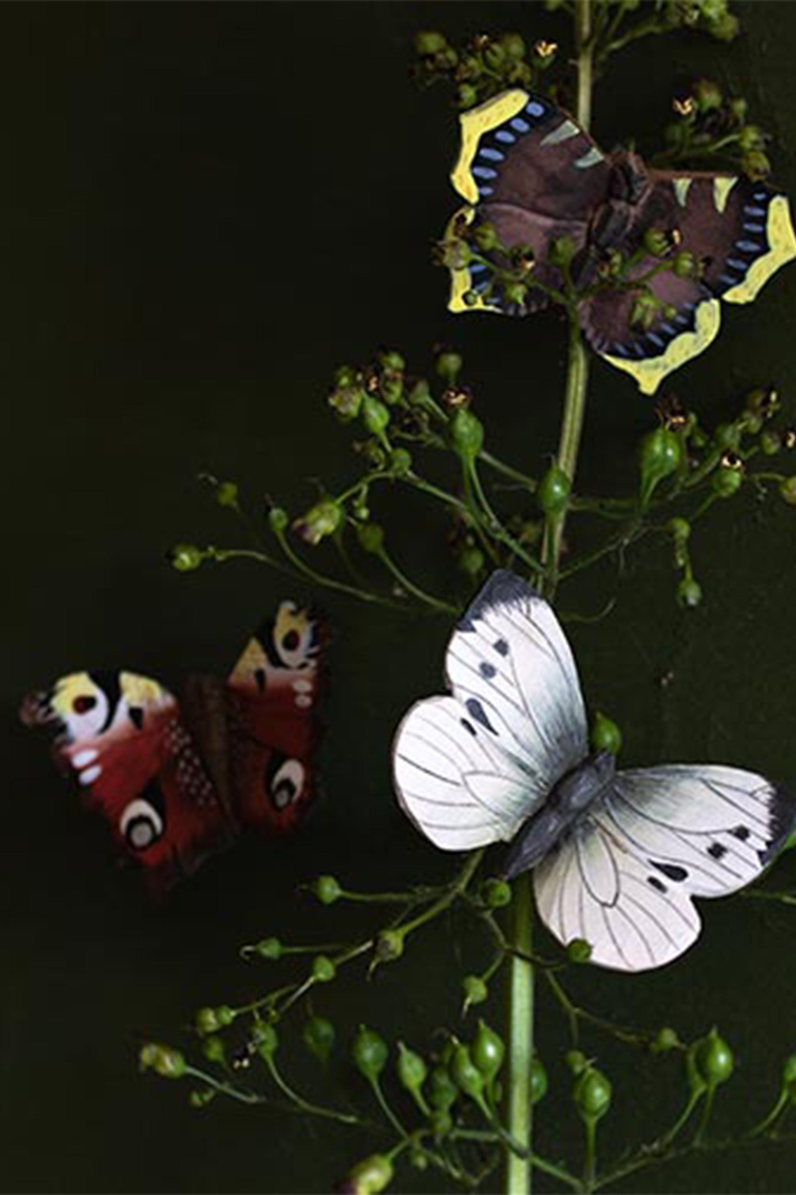 Wooden Magnet Butterfly Large White