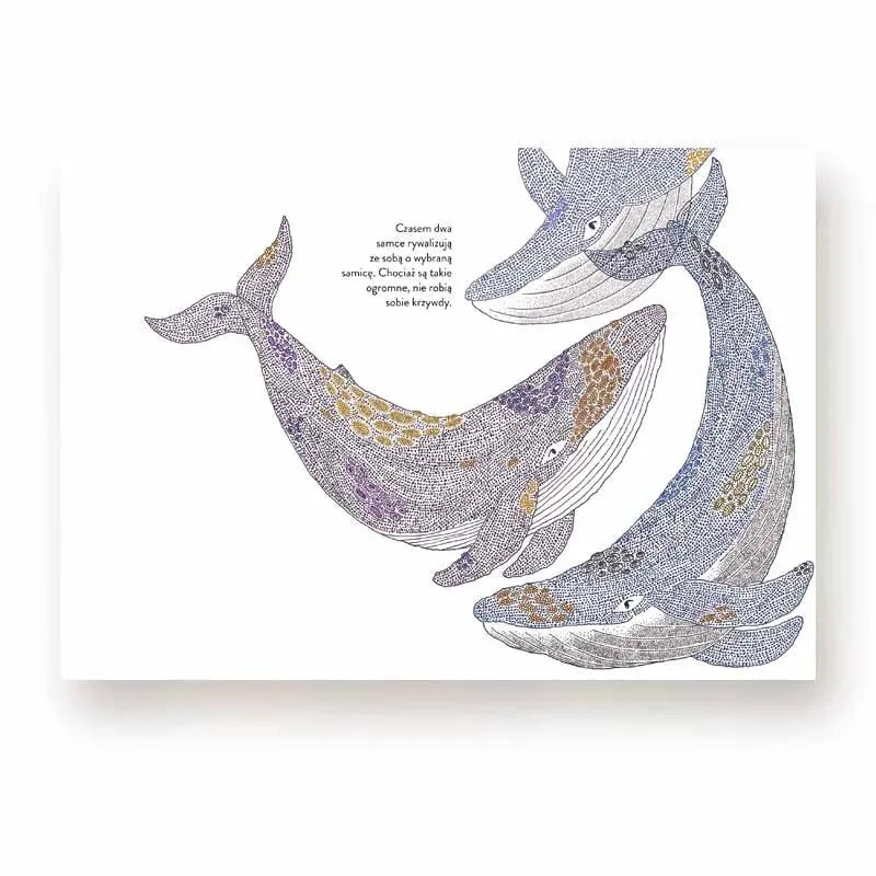 Narodziny Wydawnictwo Tatarak BÉBÉ Concept