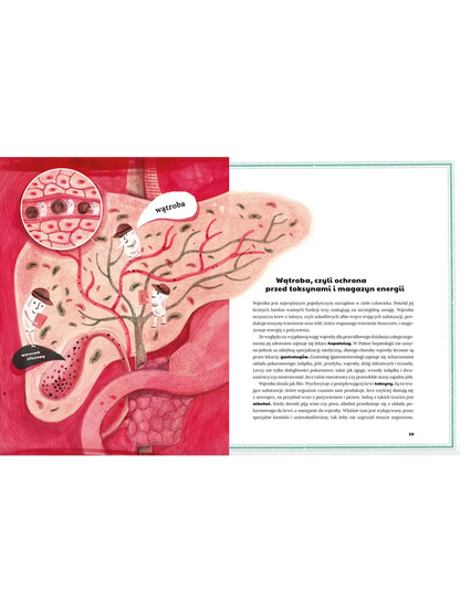 Na ratunek! czyli medycyna dawniej i dziś Wydawnictwo Nasza Ksiegarnia BÉBÉ Concept
