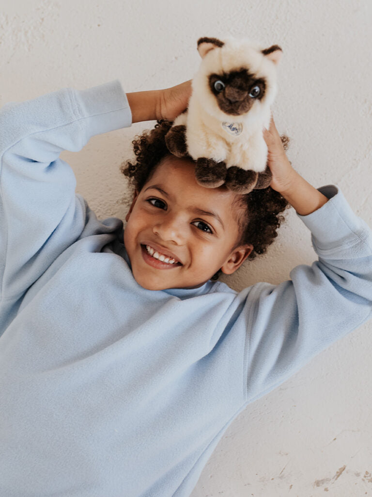 Przytulanka w ozdobnym pudełku B.T. CHAPS BÉBÉ Concept 