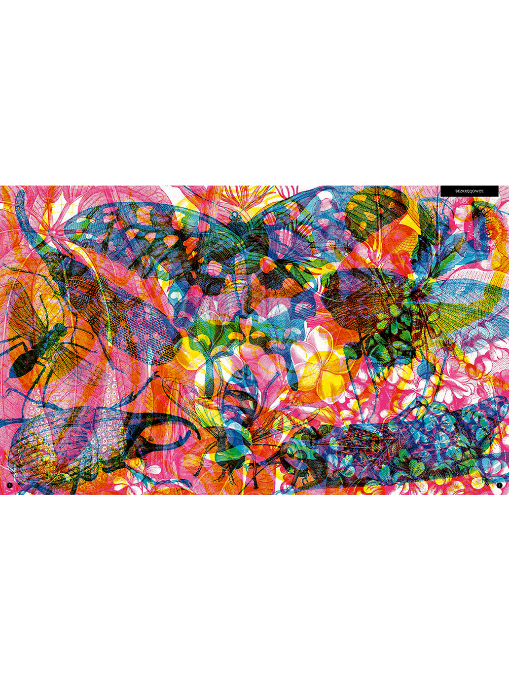 Gabinet owadów Wydawnictwo Dwie Siostry BÉBÉ Concept