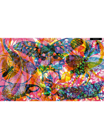 Gabinet owadów Wydawnictwo Dwie Siostry BÉBÉ Concept