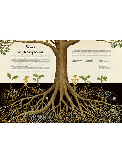 W Muzeum. Fungarium Wydawnictwo Dwie Siostry BÉBÉ Concept