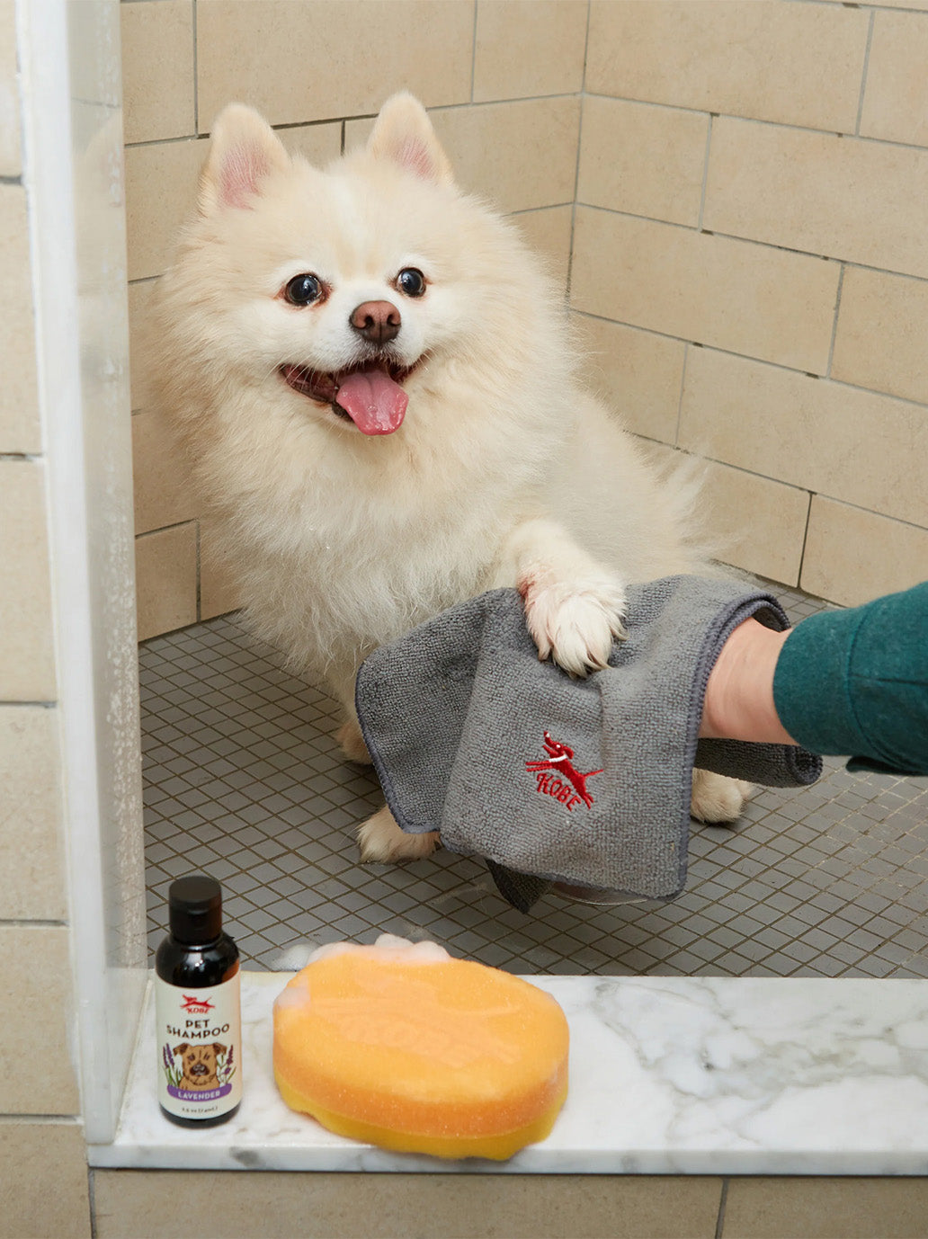 Zestaw dla psa Kobe Dog Bath Kit Kikkerland BÉBÉ Concept 