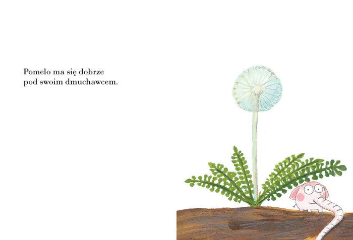 Pomelo ma się dobrze pod swoim dmuchawcem Wydawnictwo Zakamarki BÉBÉ Concept