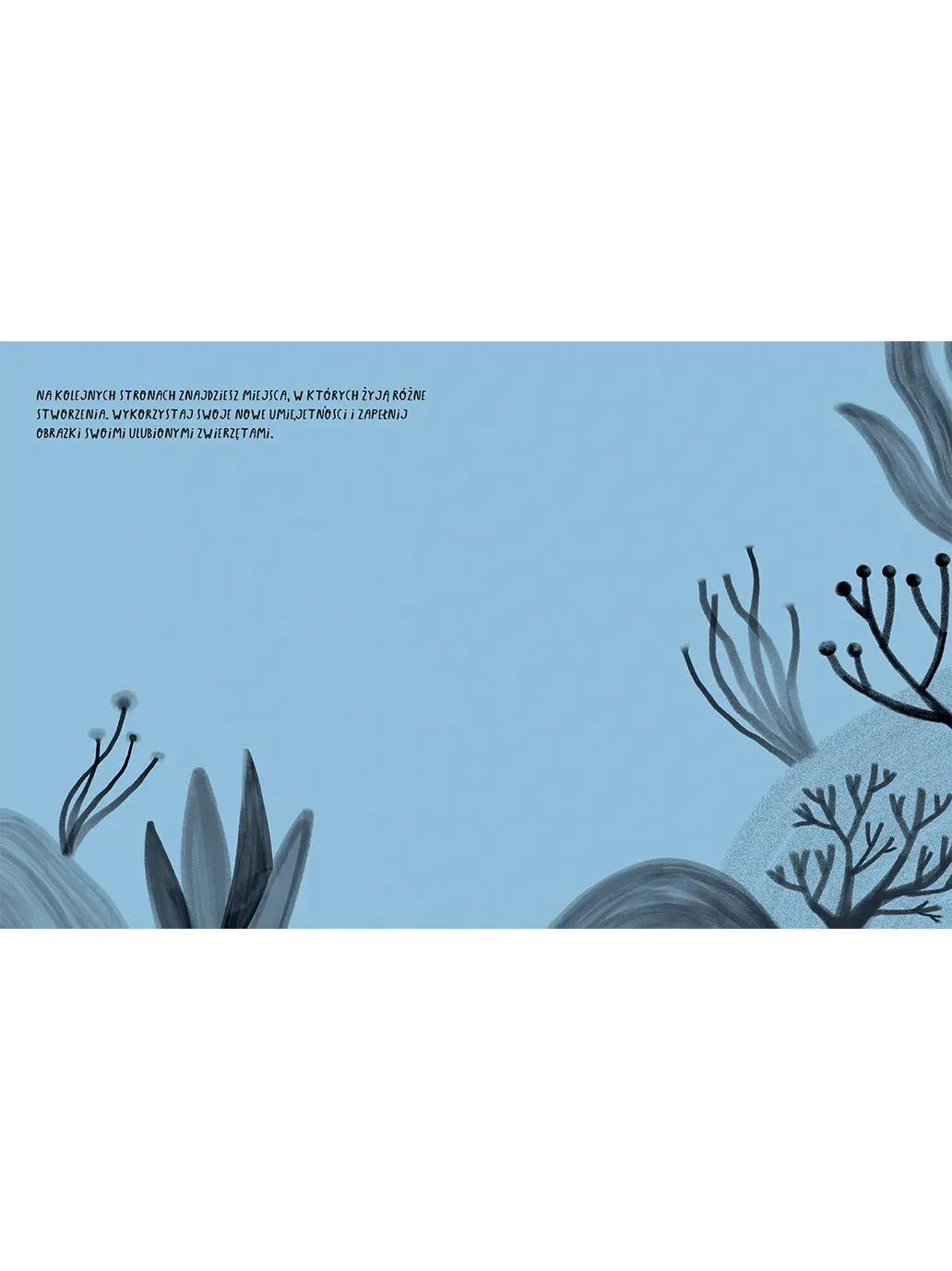 Umiem rysować Zwierzęta Wydawnictwo Kropka BEBE Concept 