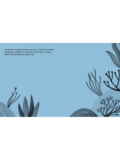 Umiem rysować Zwierzęta Wydawnictwo Kropka BEBE Concept 