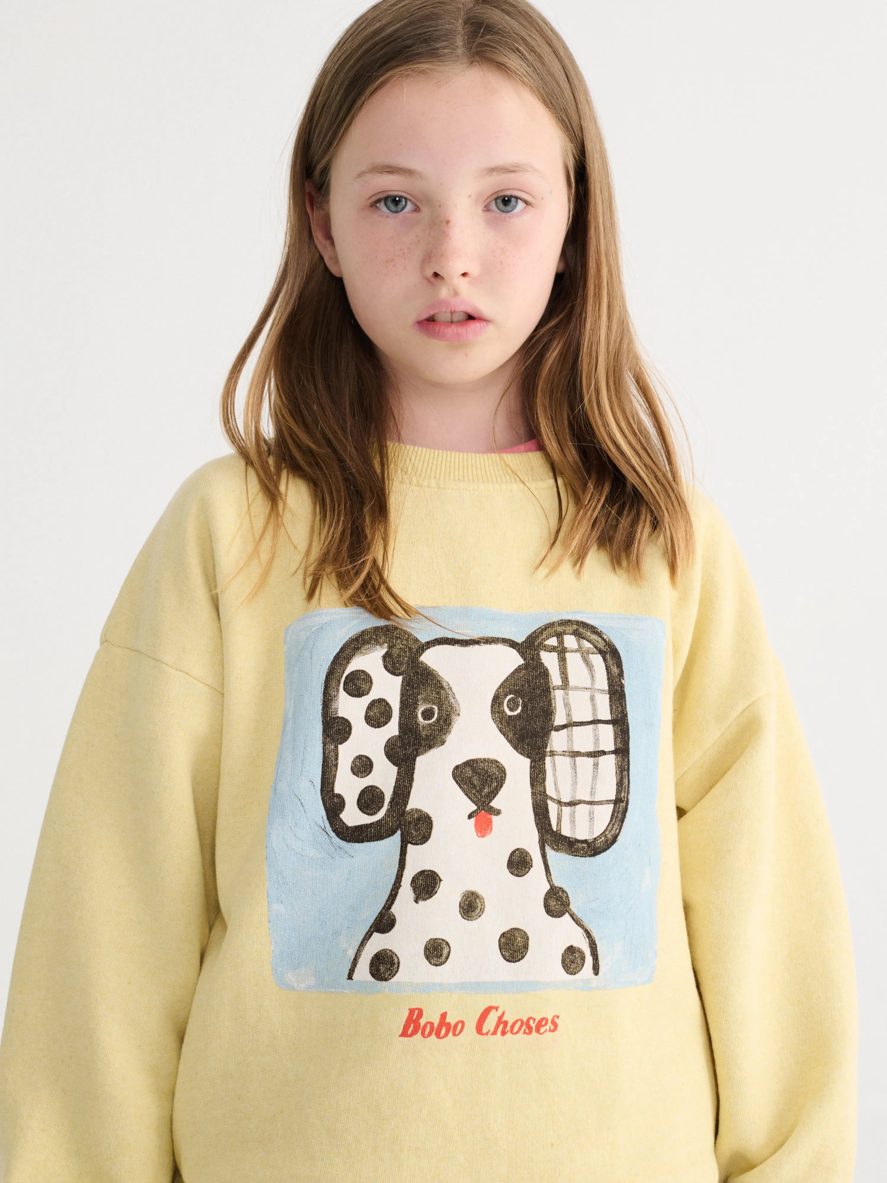 Van Dog sweatshirt Bobo Choses BEBE Concept 
