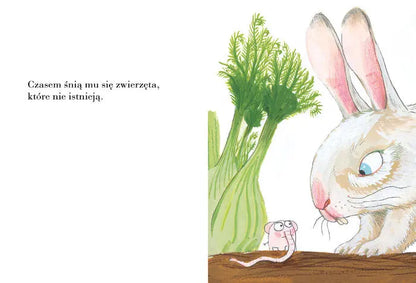 Pomelo śni Wydawnictwo Zakamarki BÉBÉ Concept