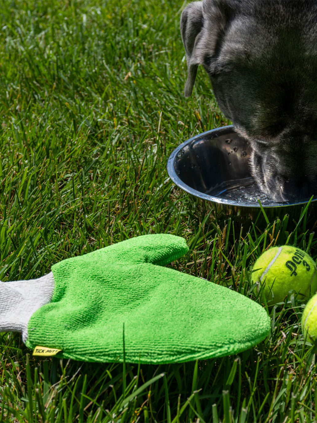 Rękawica wyłapująca kleszcze Tick MiTT Tick MiTT BÉBÉ Concept 