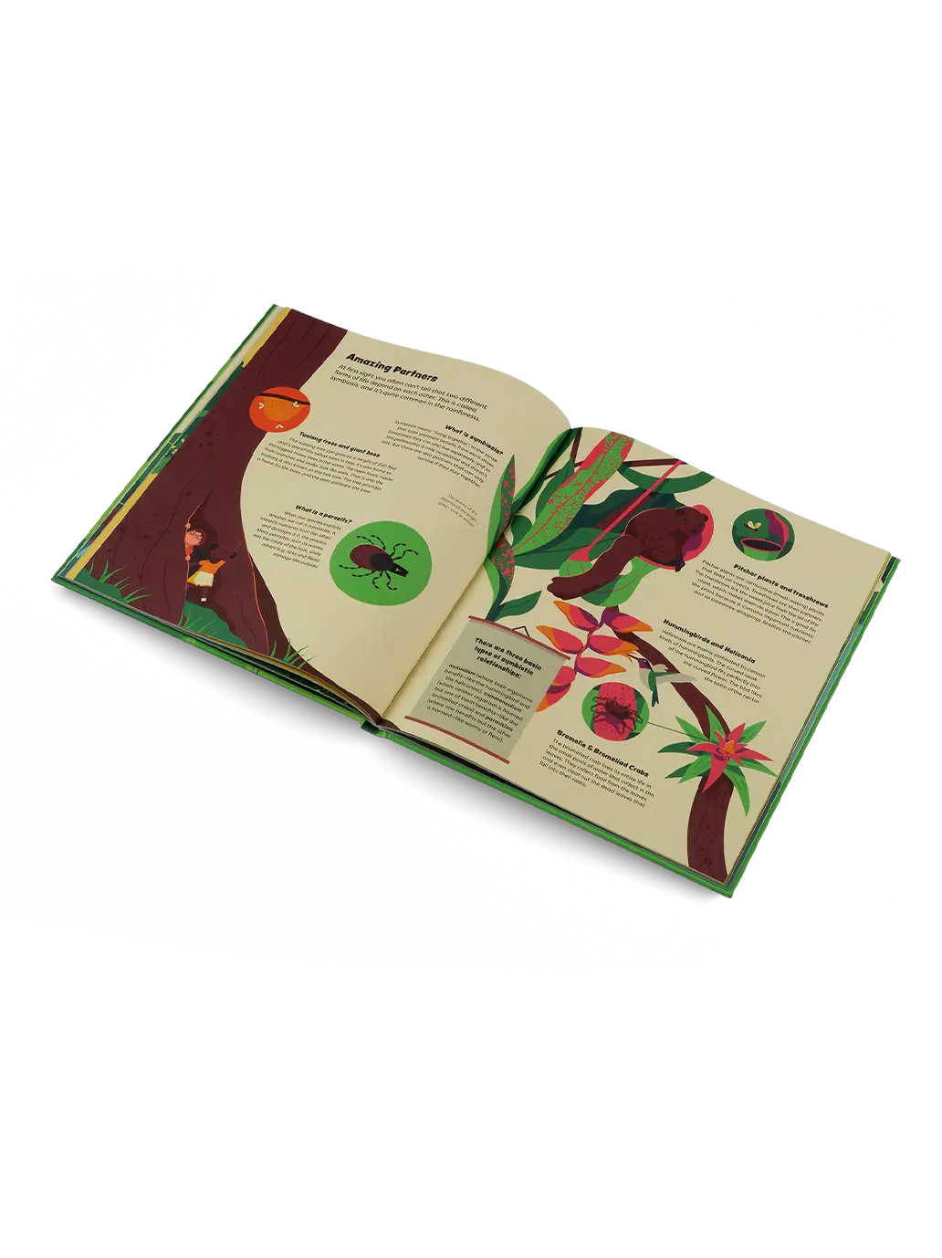 Explore the Rainforest Little Gestalten BÉBÉ Concept