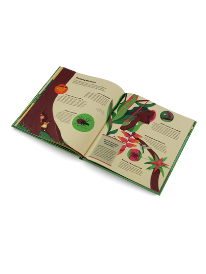 Explore the Rainforest Little Gestalten BÉBÉ Concept