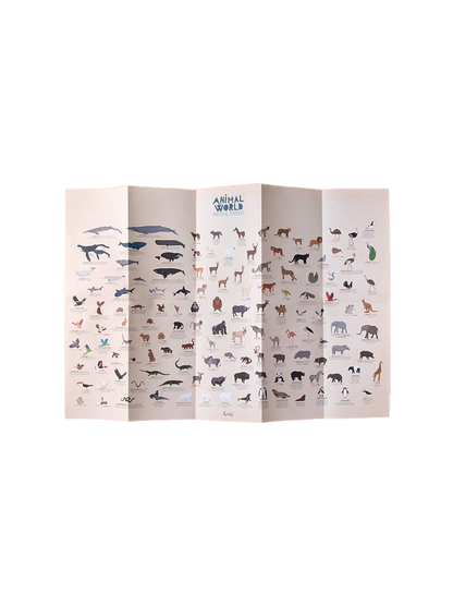 Kreatywne naklejki Zwierzęta Świata Londji BÉBÉ Concept 