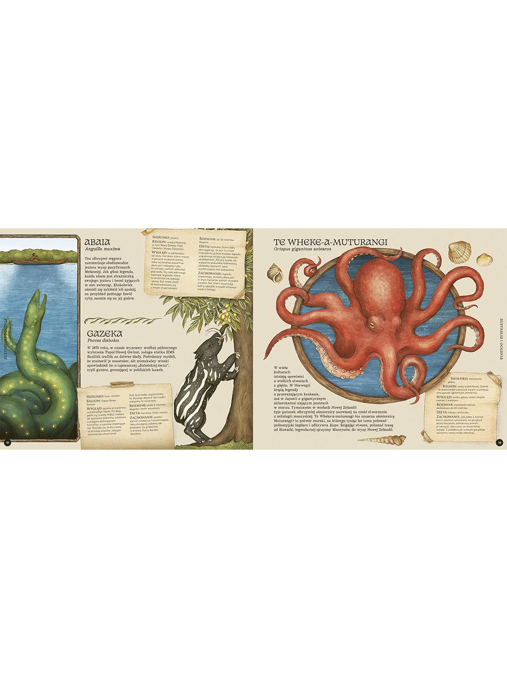 Historia naturalna stworzeń magicznych Wydawnictwo Harper BÉBÉ Concept