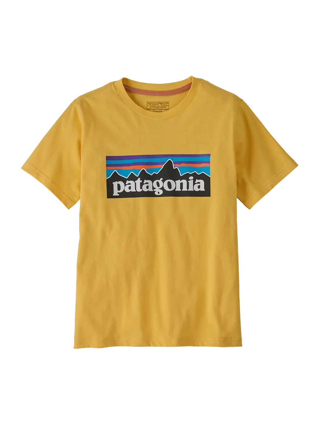 Koszulka kids P-6 Logo T-Shirt Patagonia BEBE Concept 