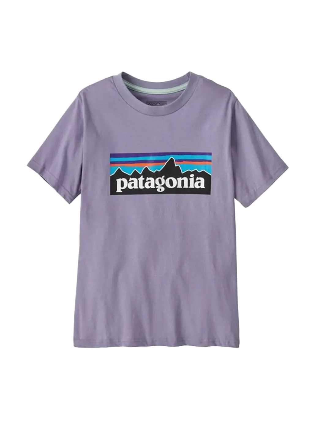 Koszulka kids P-6 Logo T-Shirt Patagonia BEBE Concept 