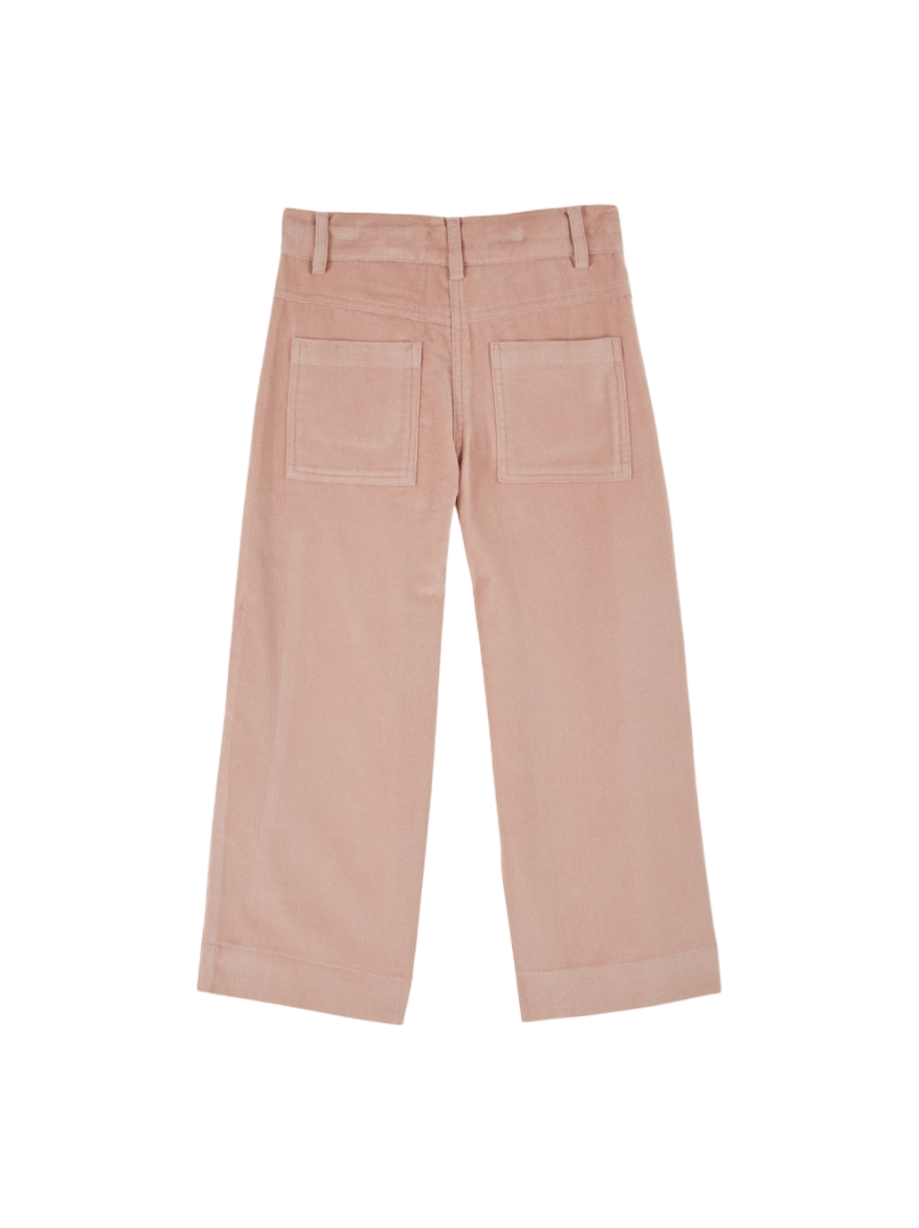 Spodnie Embroidered velvet pants