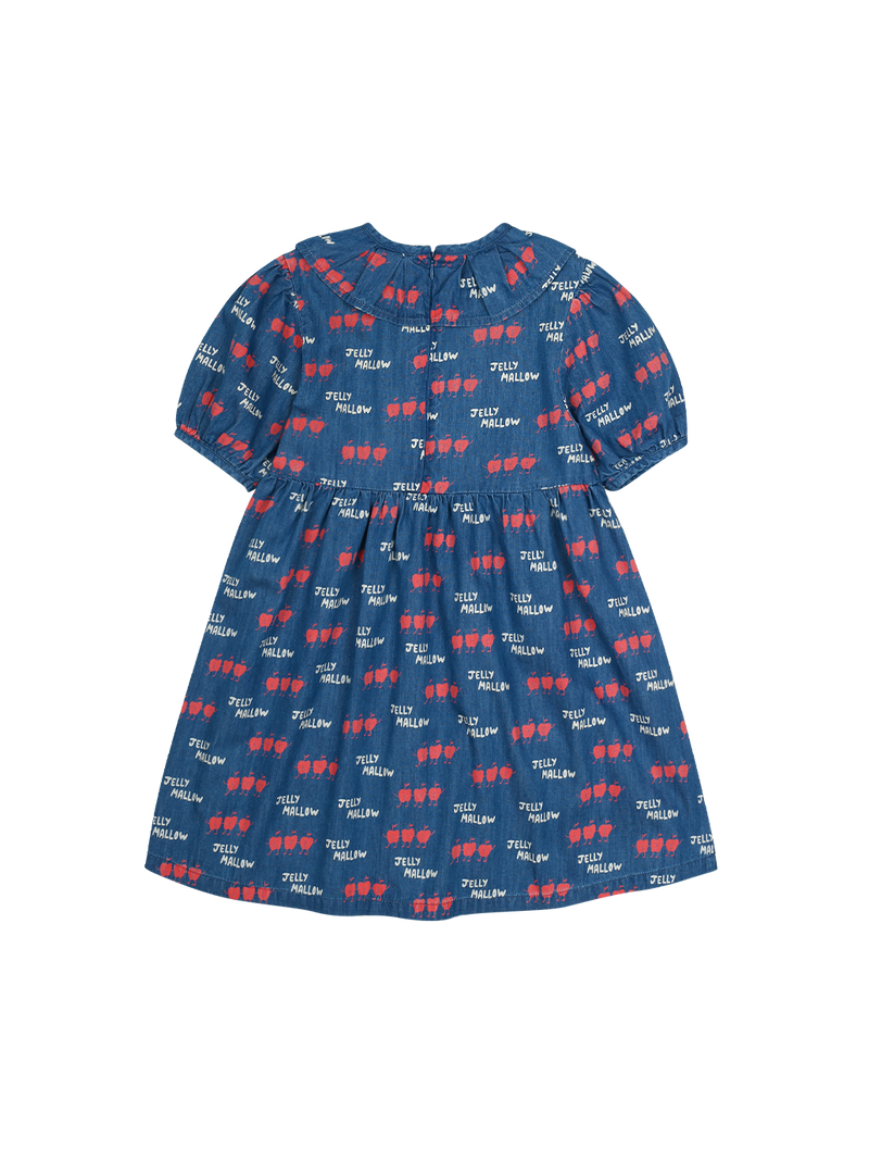 Dancing Apple Denim Dress