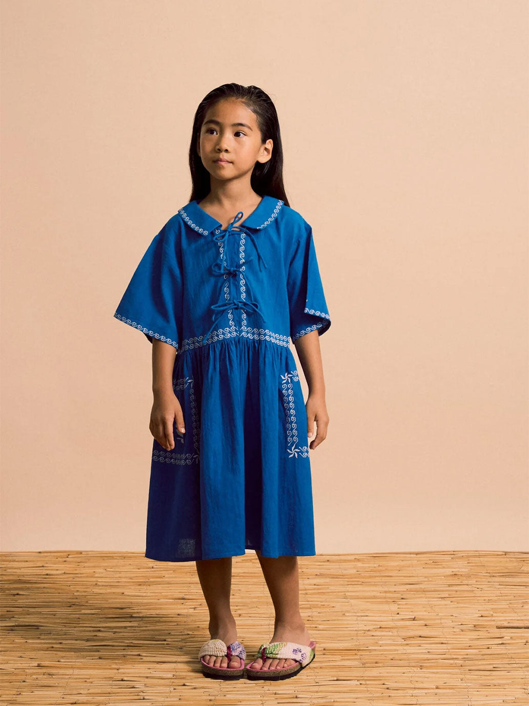 Barcos Embroidered Dress Blue