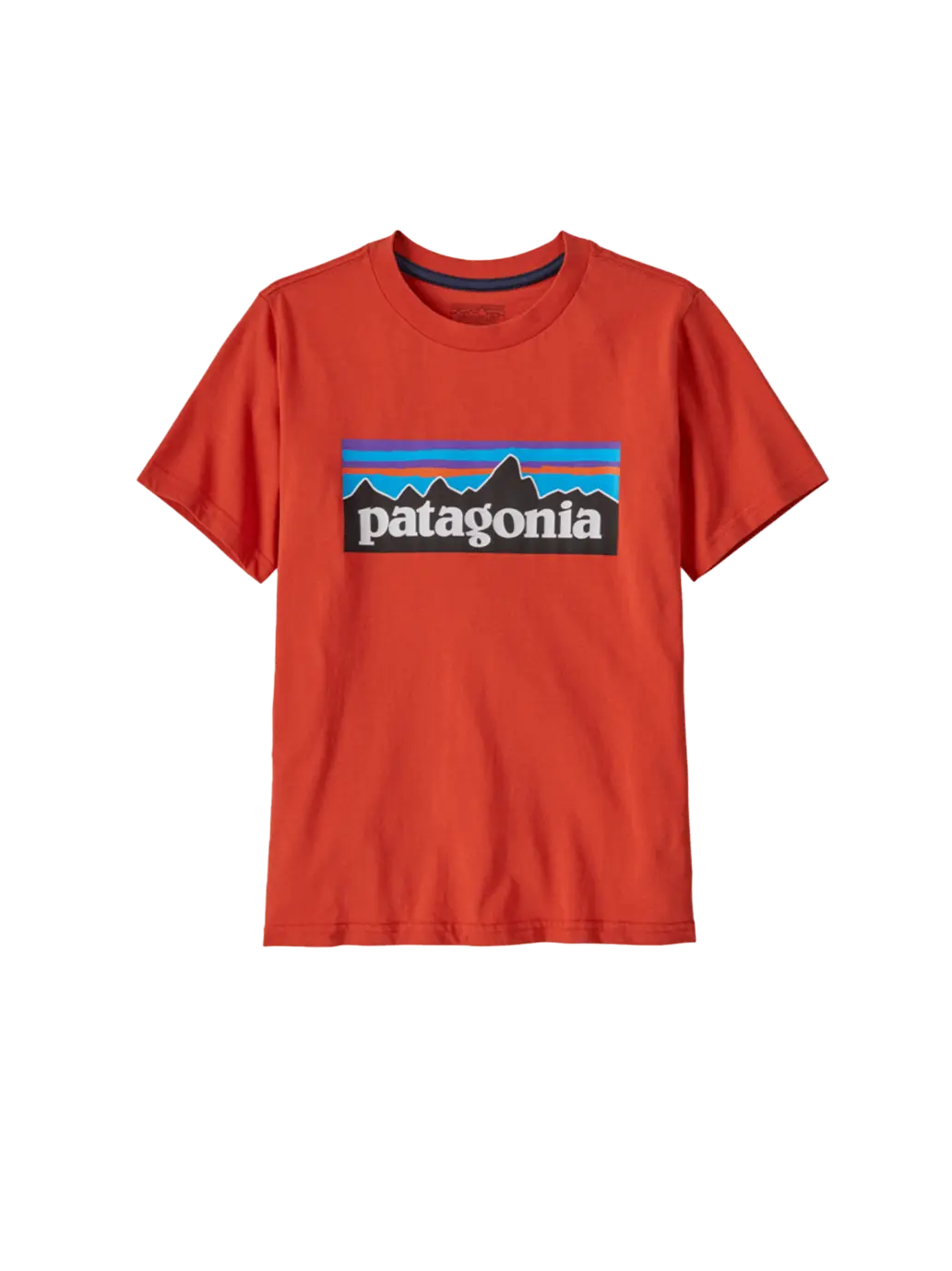 Koszulka kids P-6 Logo T-Shirt Patagonia BEBE Concept 
