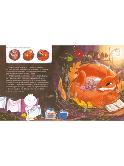 Wiewiórka z lasu Wydawnictwo Nasza Ksiegarnia BÉBÉ Concept