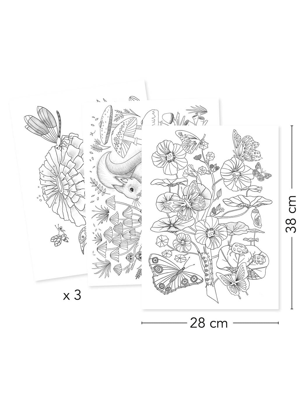 Obrazy do kolorowania w teczce Djeco BÉBÉ Concept