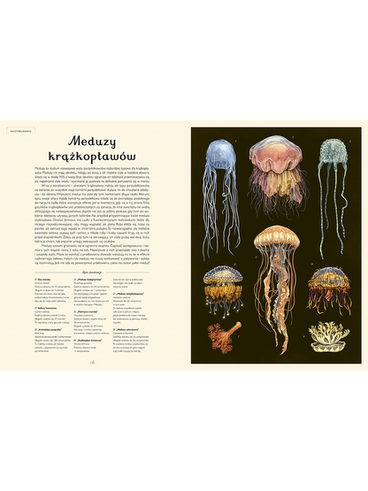 W Muzeum. Oceanarium Wydawnictwo Dwie Siostry BÉBÉ Concept