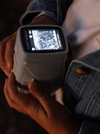 Noktowizor na podczerwień Kidyvision Kidywolf BÉBÉ Concept 