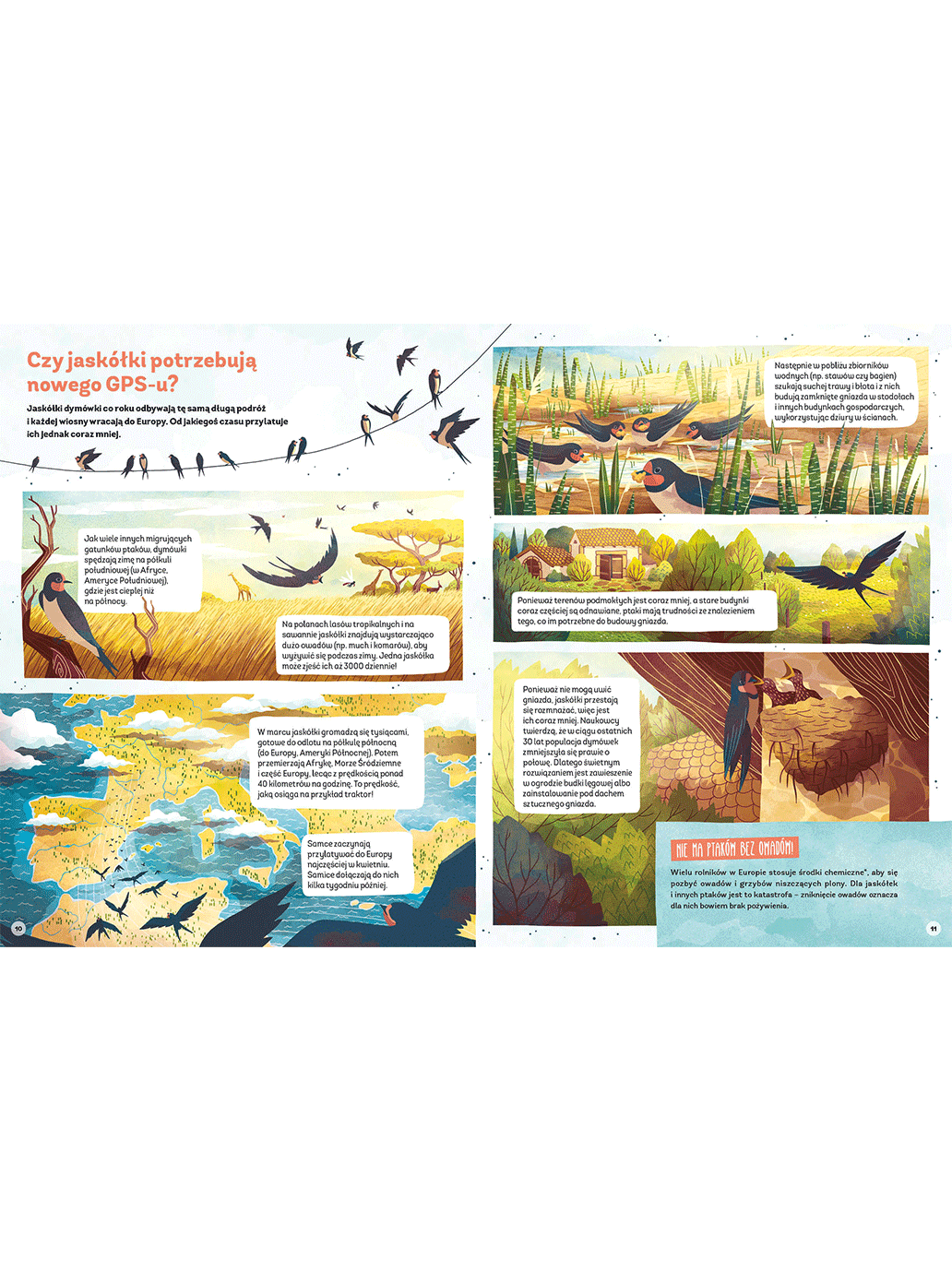 Dlaczego orangutany nie lubią pasty do zębów? Wydawnictwo Kropka BÉBÉ Concept