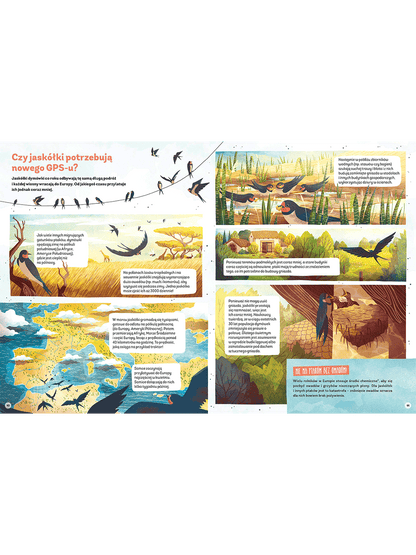 Dlaczego orangutany nie lubią pasty do zębów? Wydawnictwo Kropka BÉBÉ Concept