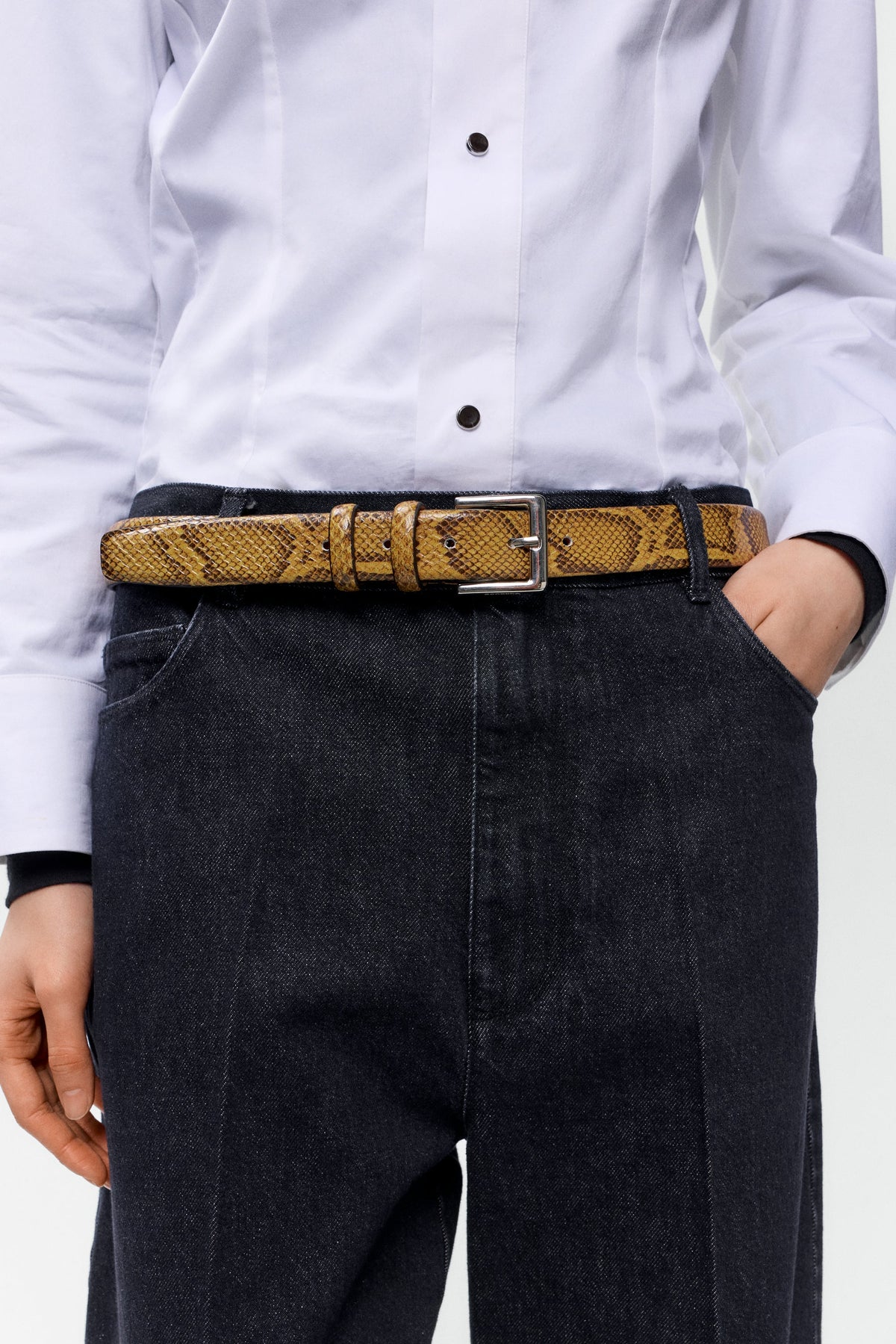 Classic Belt Snake