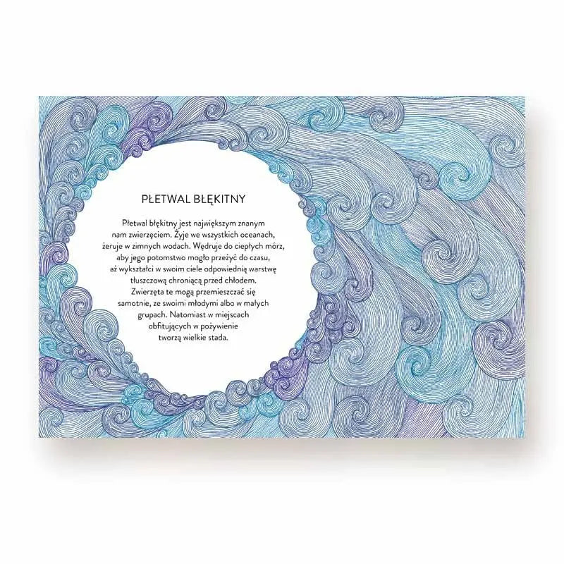 Narodziny Wydawnictwo Tatarak BÉBÉ Concept