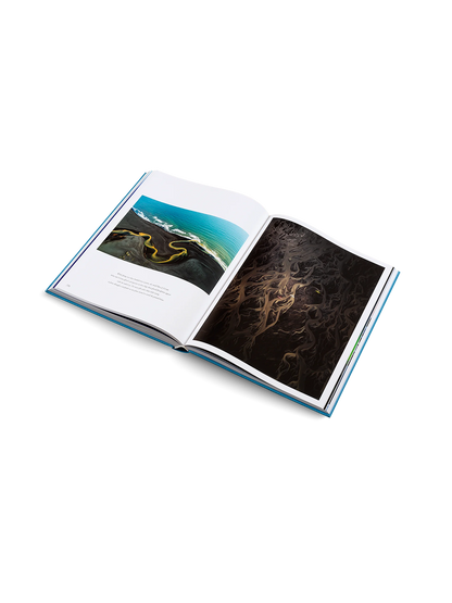 The Oceans Gestalten BÉBÉ Concept