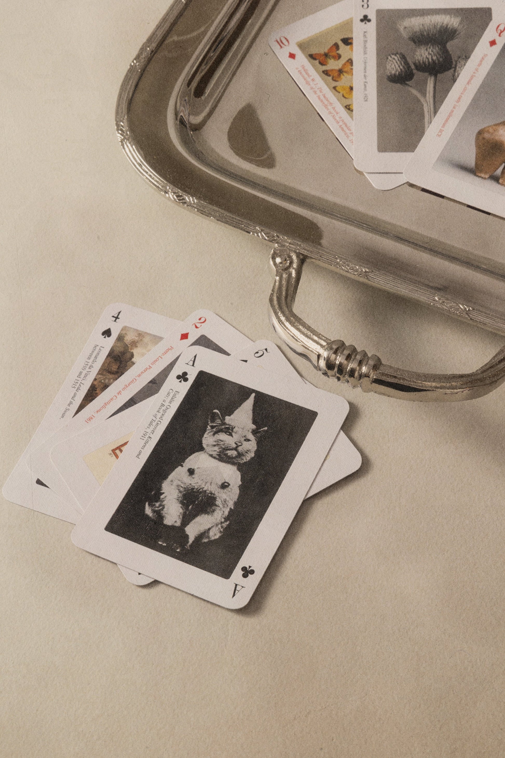 Karty do gry (PA)PIERRE BÉBÉ Concept 