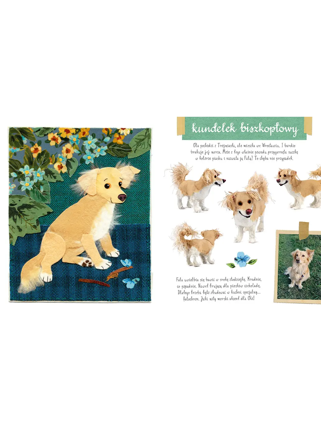 Mały atlas psów i szczeniaków Ewy i Pawła Pawlaków Wydawnictwo Nasza Ksiegarnia BÉBÉ Concept 