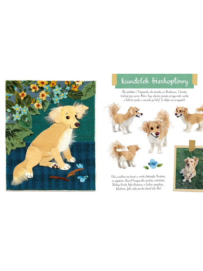 Mały atlas psów i szczeniaków Ewy i Pawła Pawlaków Wydawnictwo Nasza Ksiegarnia BÉBÉ Concept 