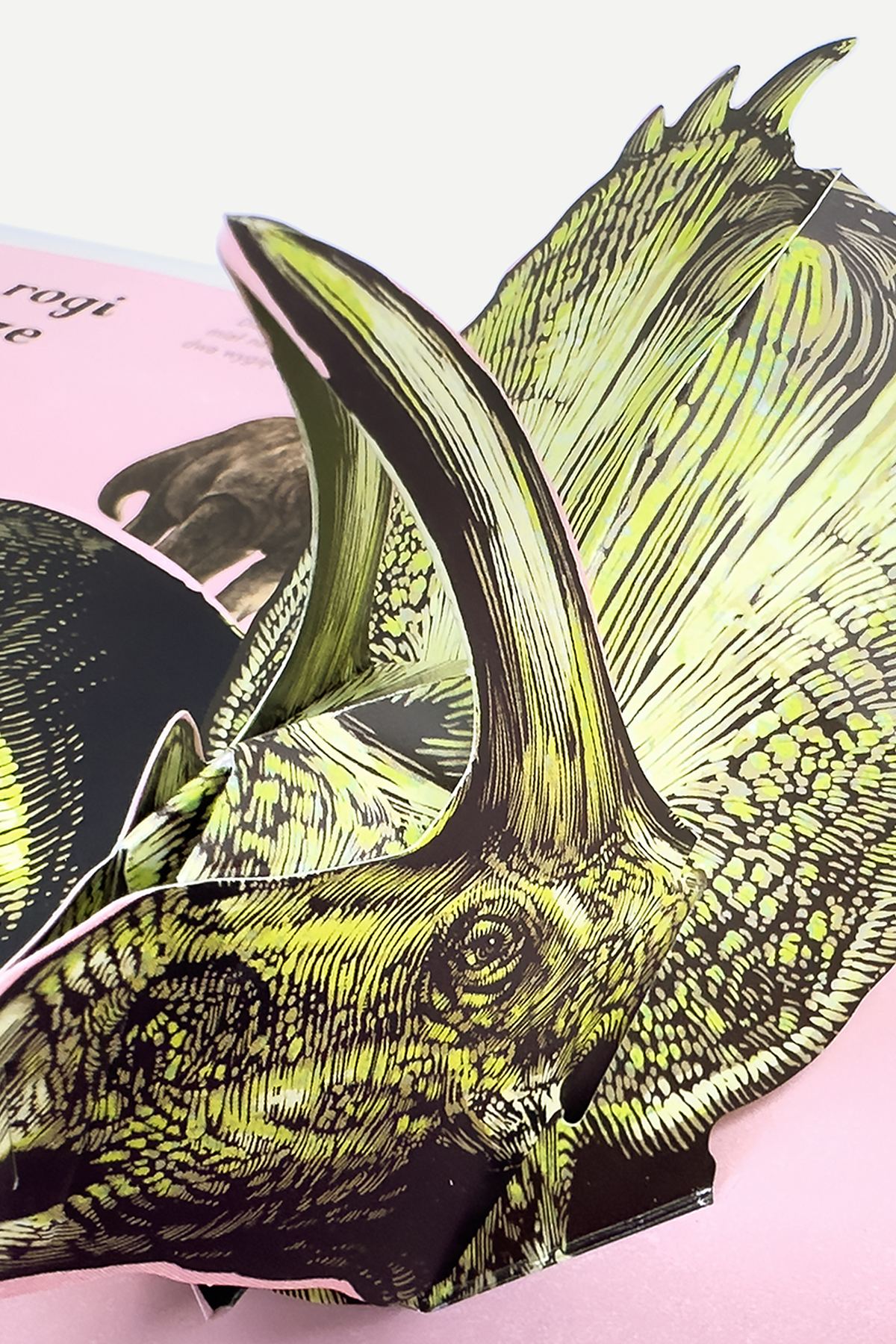 Dinozaurium POP-UP