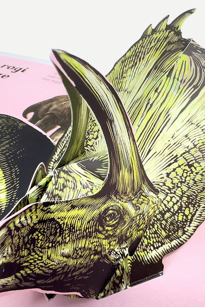 Dinozaurium POP-UP