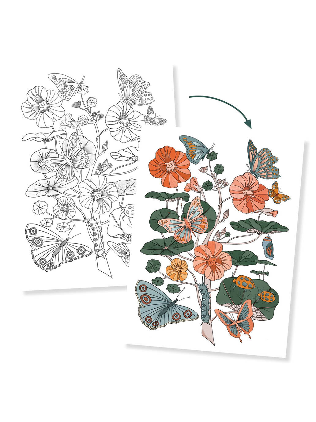 Obrazy do kolorowania w teczce Djeco BÉBÉ Concept