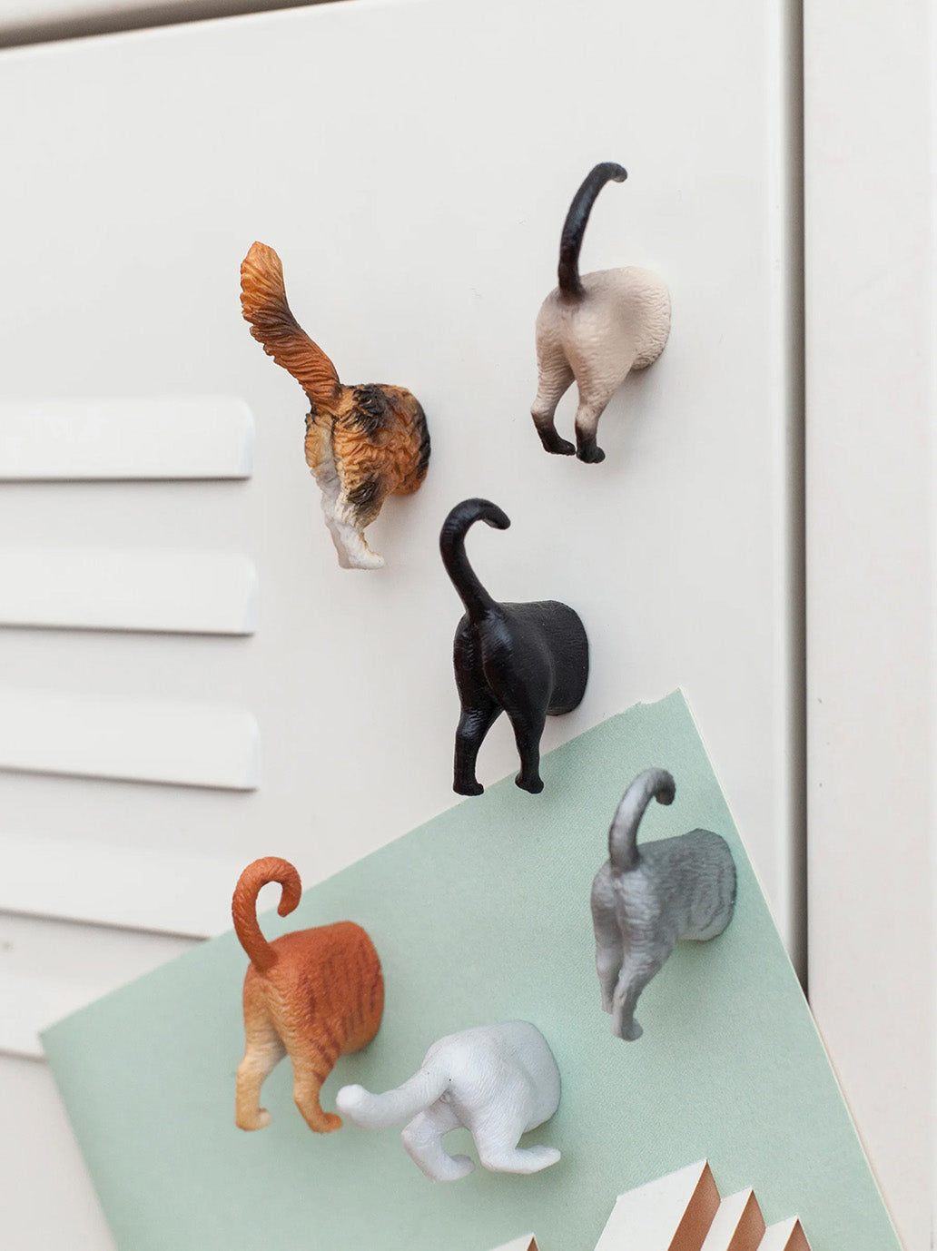 Zestaw magnesów Butt Magnets Kikkerland BÉBÉ Concept 