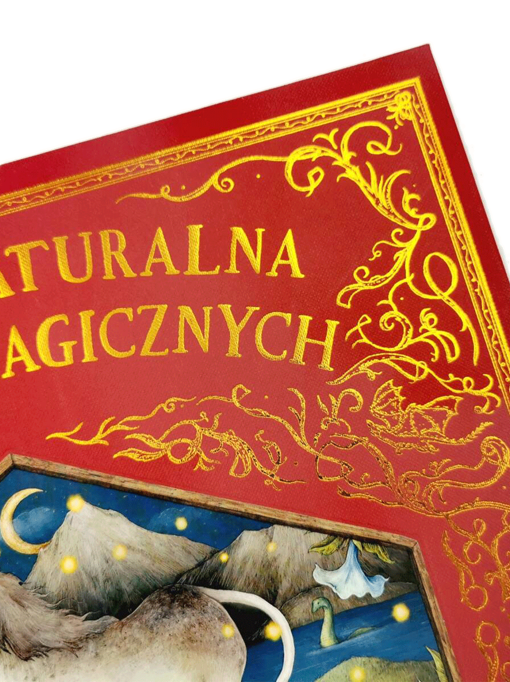 Historia naturalna stworzeń magicznych Wydawnictwo Harper BÉBÉ Concept