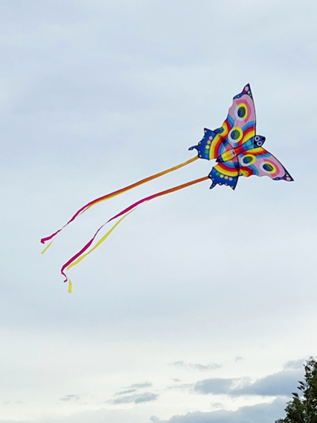 Latawiec Tiger Tribe BÉBÉ Concept 