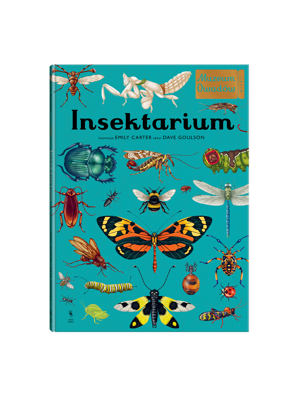 W Muzeum. Insektarium Wydawnictwo Dwie Siostry BÉBÉ Concept 