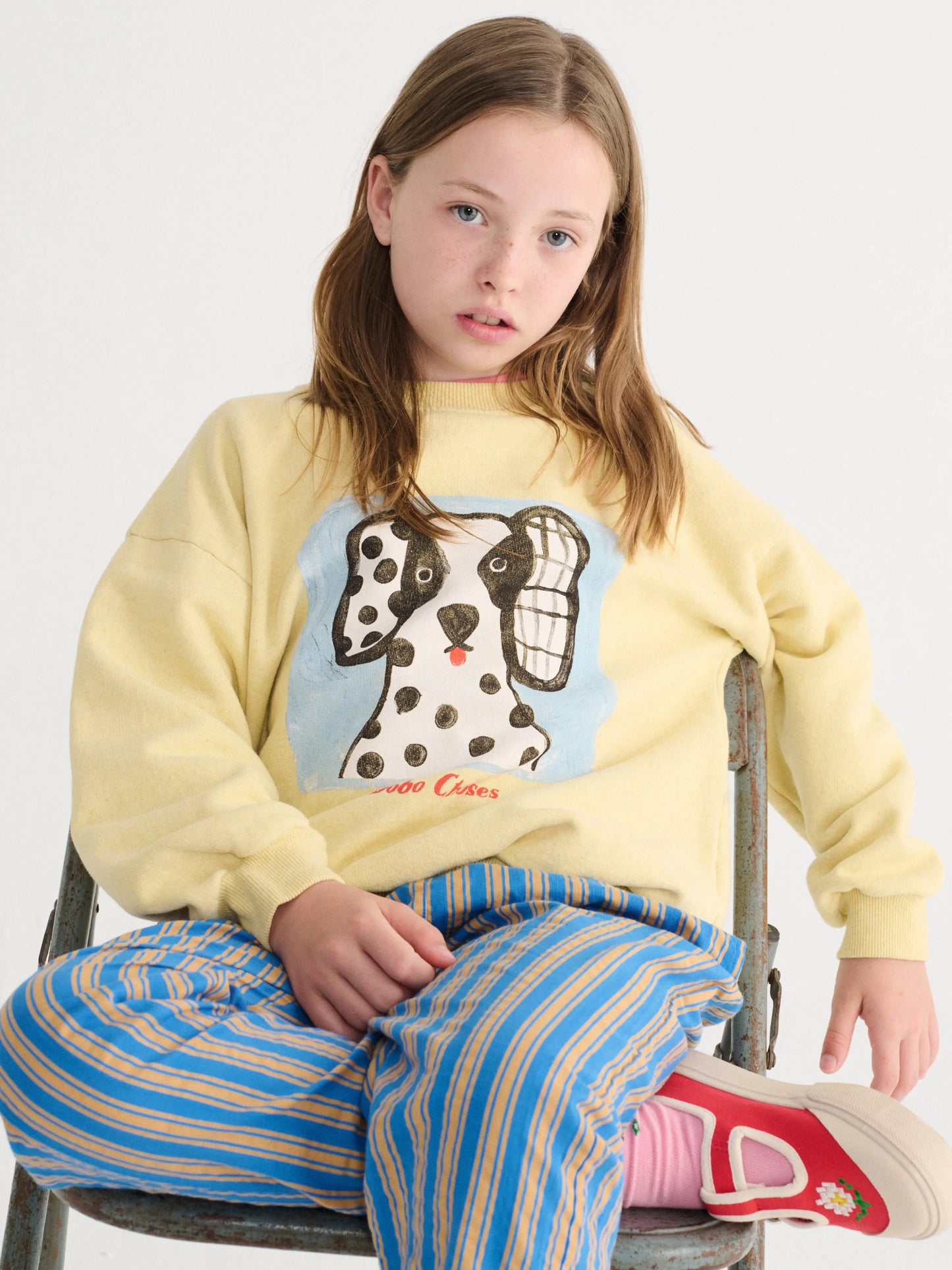 Van Dog sweatshirt Bobo Choses BEBE Concept 
