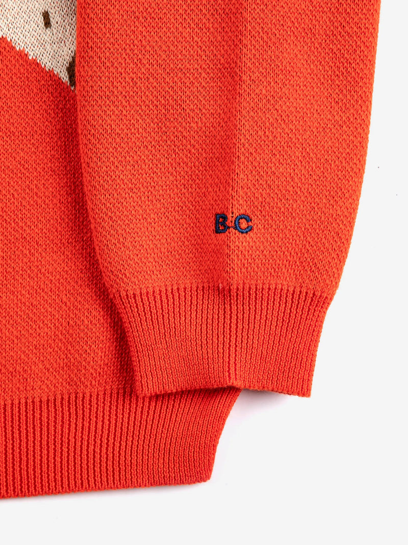 Sweter Farm Adventure jumper Bobo Choses BEBE Concept 