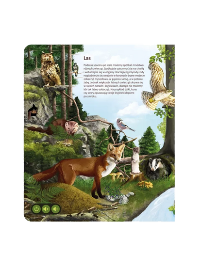 Świat zwierząt. Książka interaktywna Albi BÉBÉ Concept 