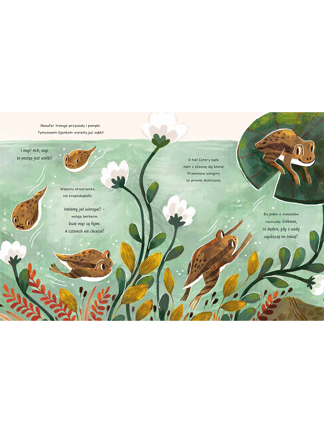 Cuda w lesie. Opowieści 5 minut przed snem Wydawnictwo Harper BÉBÉ Concept