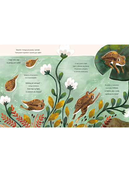 Cuda w lesie. Opowieści 5 minut przed snem Wydawnictwo Harper BÉBÉ Concept